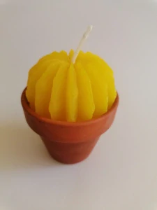 Svíčka kaktus